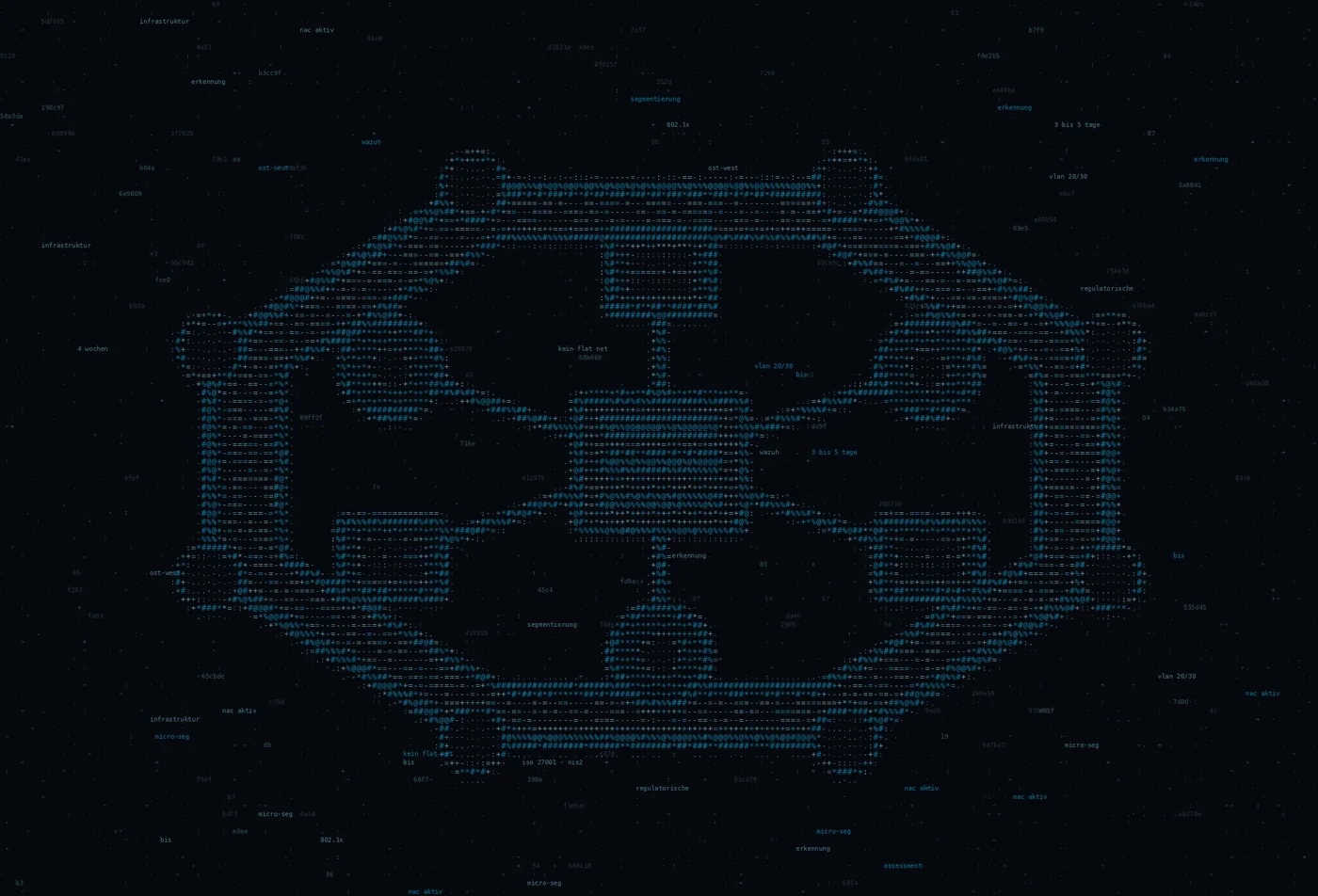 ASCII-Grafik: eine Sterntopologie mit umlaufender Schutzschicht — Titelbild zum Thema IT-Security Beratung & Infrastruktur-Analyse