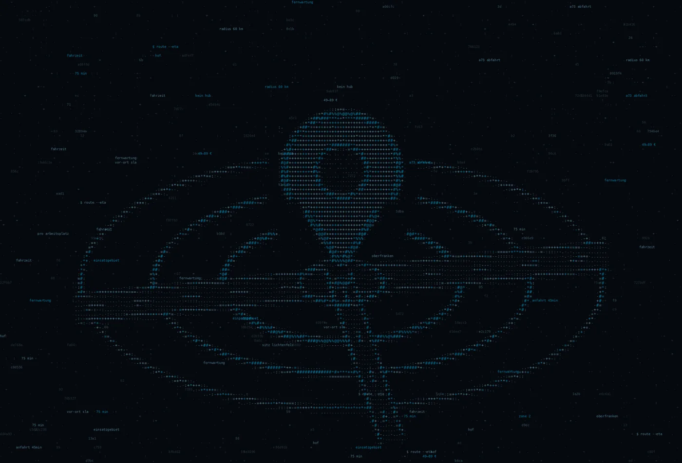 ASCII-Grafik: ein Kartenpin mit Radiusringen über einem Straßenkreuz — Titelbild zum Thema IT-Dienstleister in Hof