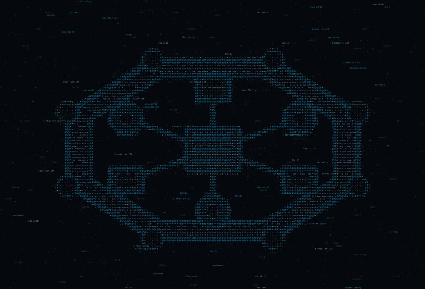 ASCII-Grafik zum Thema Managed SSL — Titelbild: SSL-Zertifikate, die sich selbst erneuern