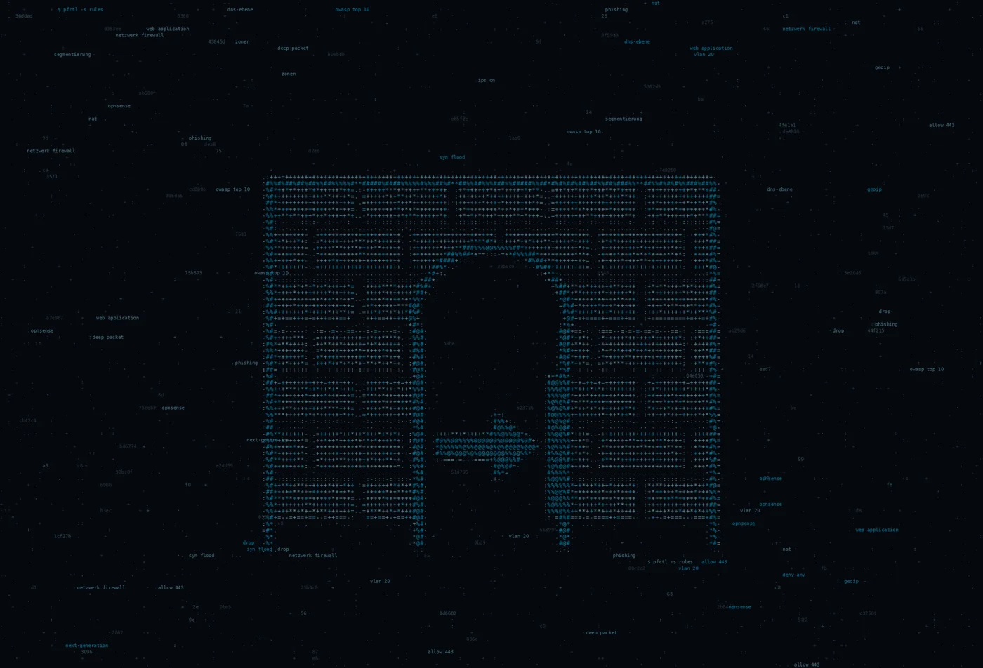 ASCII-Grafik: eine Mauer am Netzübergang — Titelbild zum Thema Netzwerk- & Firewall-Security