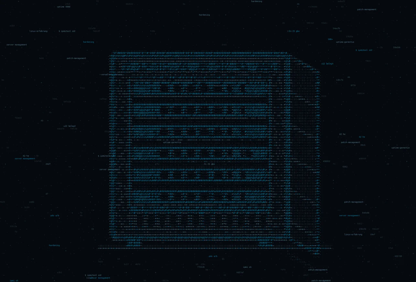 ASCII-Grafik: ein Server-Rack in Nahsicht — Titelbild zum Thema Linux Server-Management mit Open Source